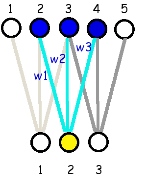 แผนภาพการเชื่อมต่อของชั้นคอนโวลูชั่น (convolution layer) เมื่ออินพุตมีโครงสร้างชุดมิติเดี่ยว \boldsymbol{x} \in \mathbb{R}^H เมื่อ H เป็นขนาดชุดลำดับมิติ (ในรูป H = 5). เอาต์พุตแต่ละตัวเชื่อมต่อกับอินพุตจำนวนจำกัด (ในรูป ขนาดจำกัดที่ 3 ตัว) และใช้ค่าน้ำหนักร่วม (w_1, w_2, w_3 ในรูปเขียน w1, w2, และ w3 ตามลำดับ) นั่นคือ คอนโวลูชั่นเอาต์พุต a_i = w_1 \cdot x_{i} + w_2 \cdot x_{i+1} + w_3 \cdot x_{i+2} + b เมื่อ i = 1, 2, 3 และ b แทนค่าไบอัส (ไม่ได้แสดงในภาพ). ภาพซ้ายเน้นการเชื่อมต่อของ a_1 ภาพกลาง a_2 และภาพขวา a_3. 