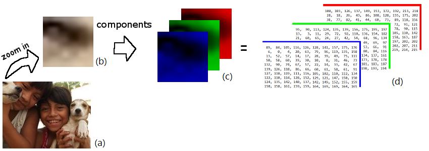 ตัวอย่างข้อมูลที่เป็นภาพซึ่งมีโครงสร้างของมิติ (dimensional structure). ภาพล่างซ้าย (a) เป็นภาพสีขนาดสูง 133 พิกเซล กว้าง 175 พิกเซล. เมื่อลองขยายมุมบนซ้ายของภาพ บริเวณขนาด 10\times10 พิกเซล (ขยาย 10 เท่า) จะได้ภาพ ดังแสดงในภาพ (b). ภาพ (b) ที่เป็นภาพสี นั้นมีส่วนประกอบของสามช่องสี ดังแสดงในภาพ (c). และค่าความเข้มของพิกเซลที่ตำแหน่งต่าง ๆ ของแต่ละช่องสี แสดงดังตัวอย่างในภาพ (d). ภาพสีดังกล่าว (ภาพ a) จะมีโครงสร้างเป็นสามชุดมิติ หรือแทนด้วย เทนเซอร์ลำดับชั้นสามเช่น \boldsymbol{X} \in \{0, \ldots, 255\}^{3 \times 133 \times 175} สำหรับภาพสี (3 ช่องสี) ขนาดสูง 133 พิกเซล กว้าง 175 พิกเซล แต่ละค่าแทนความเข้มของสีระหว่าง 0 ถึง 255. 