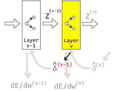 แผนภาพการแพร่กระจายย้อนกลับของค่า \hat{\delta} โดยชั้นคำนวณที่ v ผ่านค่า \hat{\delta}^{(v-1)} กลับไปให้ชั้น v-1 เพื่อให้ชั้น v-1 สามารถใช้คำนวณเกรเดียนต์ต่อน้ำหนักของชั้นได้. ในขณะที่ชั้น v เองก็รับ \hat{\delta}^{(v)} มาเพื่อคำนวณเกรเดียนต์ต่อน้ำหนักของชั้น. 