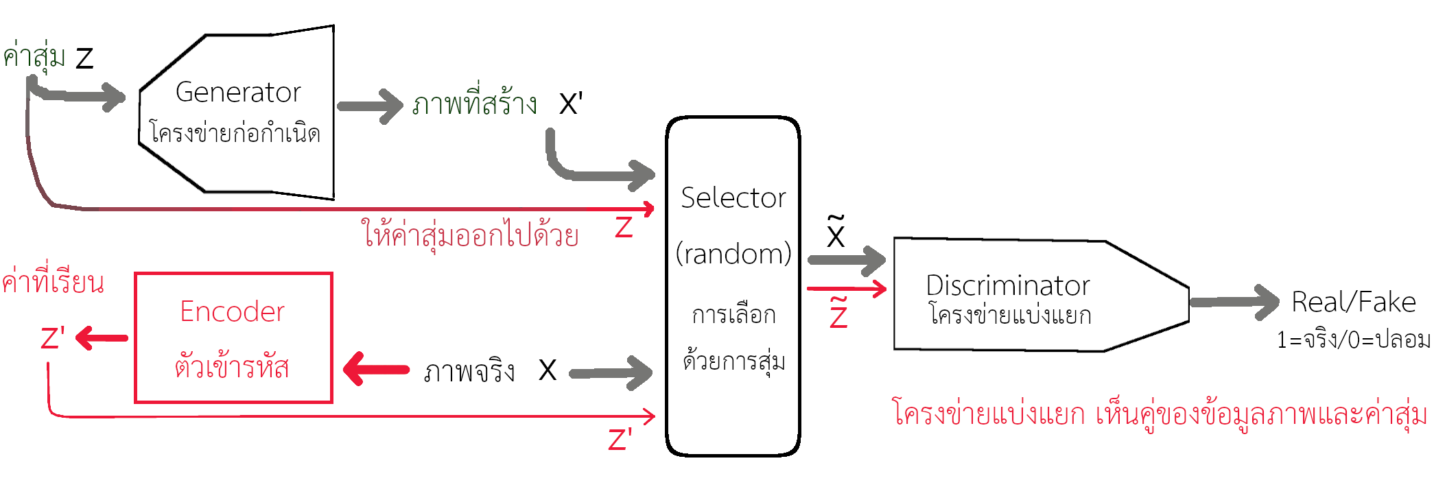  โครงสร้างของไบแกนและการอนุมานที่เรียนเชิงปรปักษ์ เพื่อเรียนรู้ความสัมพันธ์ระหว่างปริภูมิซ่อนเร้นและปริภูมิข้อมูล. กลไกสำคัญอยู่ที่ตัวเข้ารหัส. โครงข่ายก่อกำเนิด เรียนรู้การแจกแจงแบบมีเงื่อนไข p(\boldsymbol{X}|\boldsymbol{z}). ส่วนตัวเข้ารหัส ที่เห็นข้อมูลจริง แต่พยายามเรียนรู้การแจกแจงแบบมีเงื่อนไข p(\boldsymbol{z}|\boldsymbol{X}). ทั้งโครงข่ายก่อกำเนิดและตัวเข้ารหัส พยายามเรียนรู้ เพื่อจะสร้างคู่ข้อมูล (\boldsymbol{\tilde{X}}, \boldsymbol{\tilde{z}}) ที่โครงข่ายแบ่งแยก จำแนกได้ยากว่าเป็นภาพปลอม (คู่ (\boldsymbol{X'}, \boldsymbol{z}) จากโครงข่ายก่อกำเนิด) หรือเป็นภาพจริง (คู่ (\boldsymbol{X}, \boldsymbol{z'}) จากภาพจริงและตัวเข้ารหัส). 
